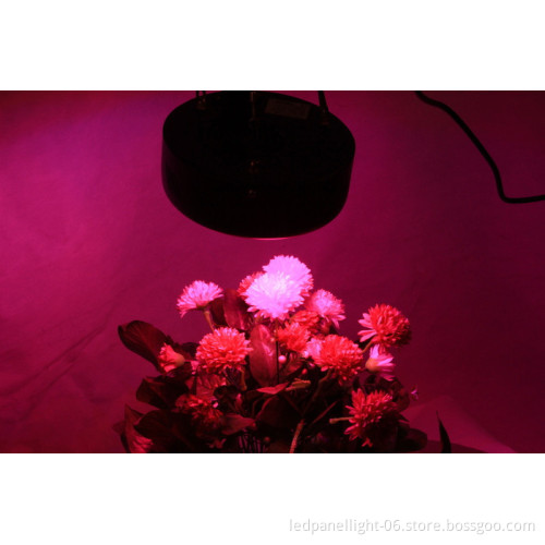 Saving time good for you plants for garden vegetative light 75w UFO LED